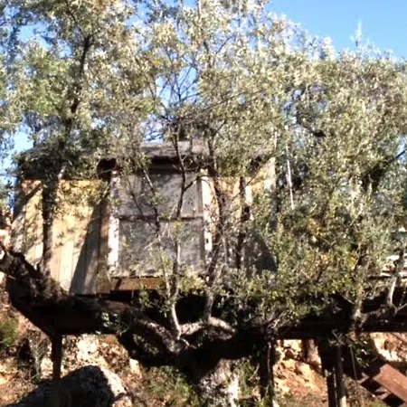 Inviting Tiny Treehouse East Of Kalamata Near Bay Semesterbostad *